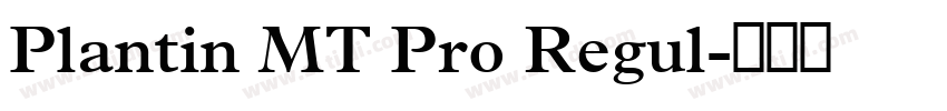 Plantin MT Pro Regul字体转换
